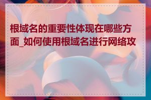 根域名的重要性体现在哪些方面_如何使用根域名进行网络攻击