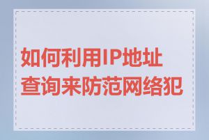 如何利用IP地址查询来防范网络犯罪