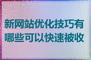 新网站优化技巧有哪些可以快速被收录