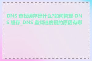 DNS 查找缓存是什么?如何管理 DNS 缓存_DNS 查找速度慢的原因有哪些