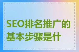 SEO排名推广的基本步骤是什么