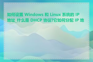 如何设置 Windows 和 Linux 系统的 IP 地址_什么是 DHCP 协议?它如何分配 IP 地址