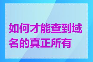 如何才能查到域名的真正所有者