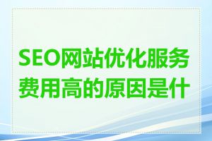 SEO网站优化服务费用高的原因是什么