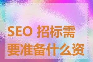 SEO 招标需要准备什么资料