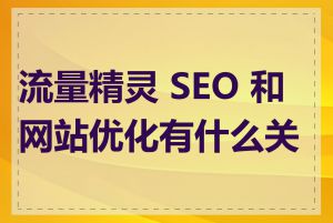 流量精灵 SEO 和网站优化有什么关系