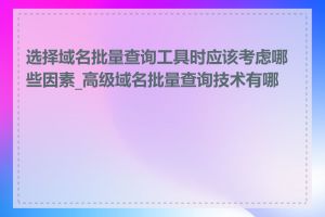 选择域名批量查询工具时应该考虑哪些因素_高级域名批量查询技术有哪些