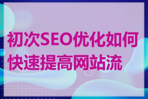 初次SEO优化如何快速提高网站流量