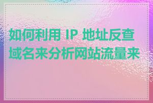 如何利用 IP 地址反查域名来分析网站流量来源