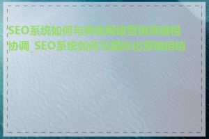 SEO系统如何与其他网络营销策略相协调_SEO系统如何与国际化营销相结合