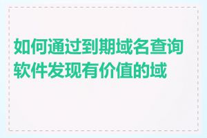 如何通过到期域名查询软件发现有价值的域名