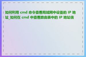 如何利用 cmd 命令查看局域网中设备的 IP 地址_如何在 cmd 中查看路由表中的 IP 地址信息