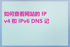 如何查看网站的 IPv4 和 IPv6 DNS 记录