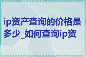 ip资产查询的价格是多少_如何查询ip资产