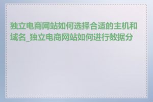 独立电商网站如何选择合适的主机和域名_独立电商网站如何进行数据分析