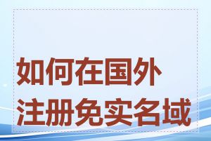 如何在国外注册免实名域名