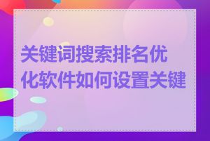 关键词搜索排名优化软件如何设置关键词