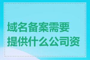 域名备案需要提供什么公司资料