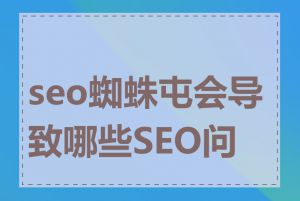 seo蜘蛛屯会导致哪些SEO问题