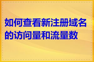 如何查看新注册域名的访问量和流量数据