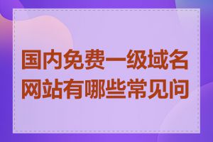 国内免费一级域名网站有哪些常见问题