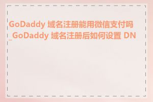 GoDaddy 域名注册能用微信支付吗_GoDaddy 域名注册后如何设置 DNS