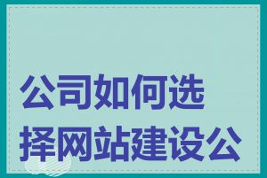 公司如何选择网站建设公司