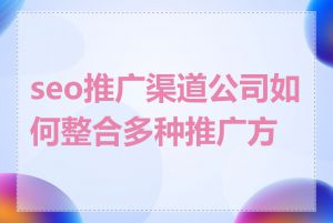 seo推广渠道公司如何整合多种推广方式