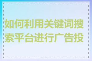 如何利用关键词搜索平台进行广告投放