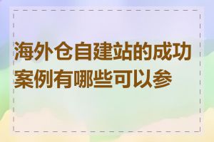 海外仓自建站的成功案例有哪些可以参考