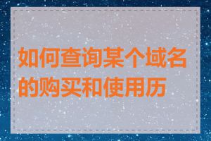 如何查询某个域名的购买和使用历史