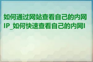 如何通过网站查看自己的内网IP_如何快速查看自己的内网IP