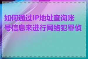 如何通过IP地址查询账号信息来进行网络犯罪侦查