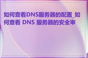 如何查看DNS服务器的配置_如何查看 DNS 服务器的安全审计