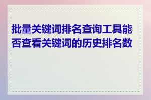 批量关键词排名查询工具能否查看关键词的历史排名数据