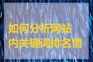 如何分析网站内关键词排名情况