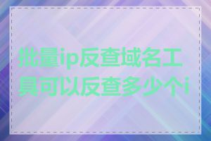 批量ip反查域名工具可以反查多少个ip