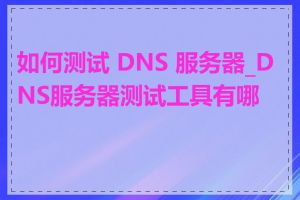 如何测试 DNS 服务器_DNS服务器测试工具有哪些