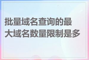 批量域名查询的最大域名数量限制是多少