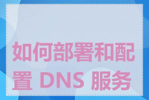 如何部署和配置 DNS 服务器