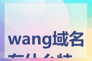 wang域名有什么特点