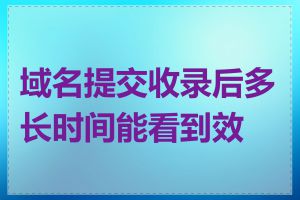 域名提交收录后多长时间能看到效果