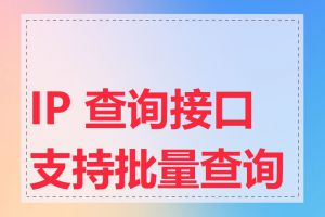 IP 查询接口支持批量查询吗