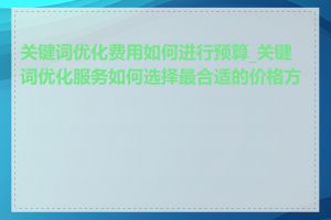 关键词优化费用如何进行预算_关键词优化服务如何选择最合适的价格方案