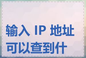 输入 IP 地址可以查到什么