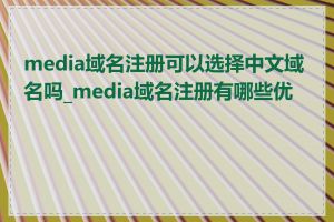 media域名注册可以选择中文域名吗_media域名注册有哪些优势