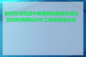 如何在浏览器中查看网站的域名地址_如何利用网站分析工具查看域名信息