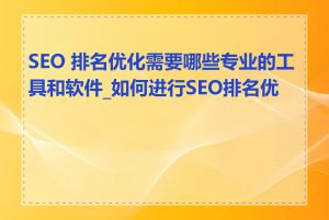 SEO 排名优化需要哪些专业的工具和软件_如何进行SEO排名优化