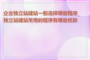 企业独立站建站一般选择哪些程序_独立站建站常用的程序有哪些优缺点