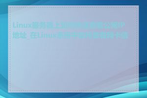 Linux服务器上如何快速查看公网IP地址_在Linux系统中如何查看网卡信息